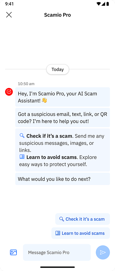 Scamio Pro assistant chat